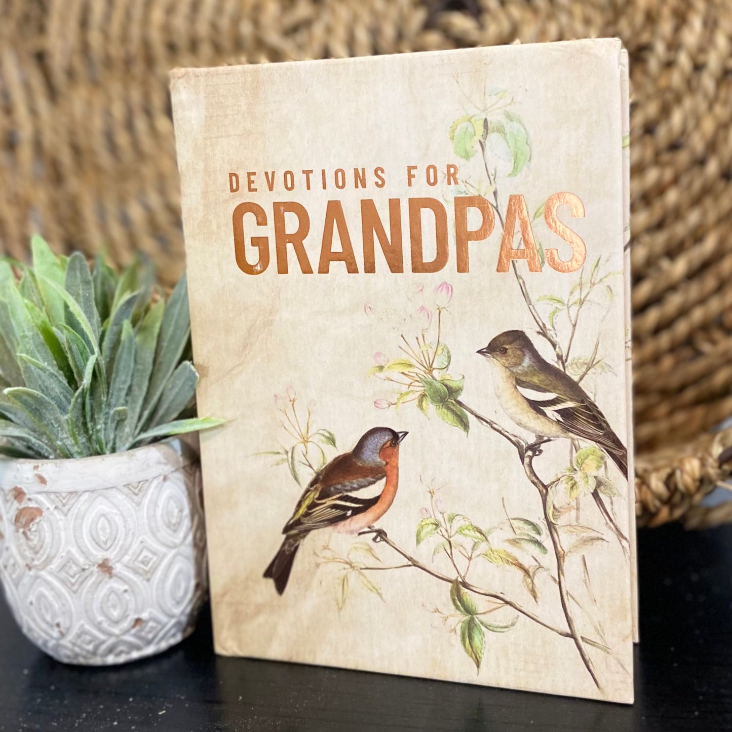 Devotions for Grandpas