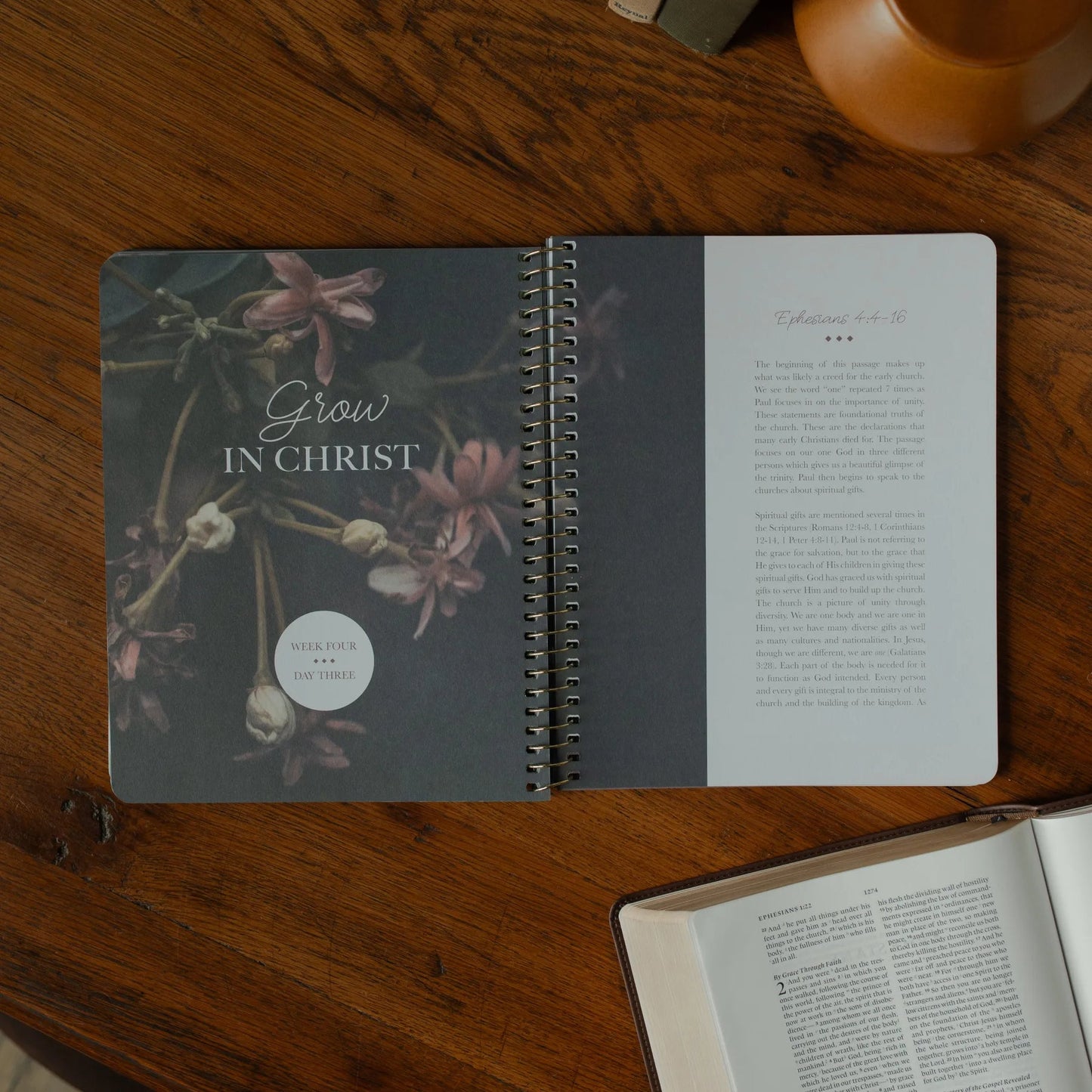 Chosen- Ephesians Bible Study