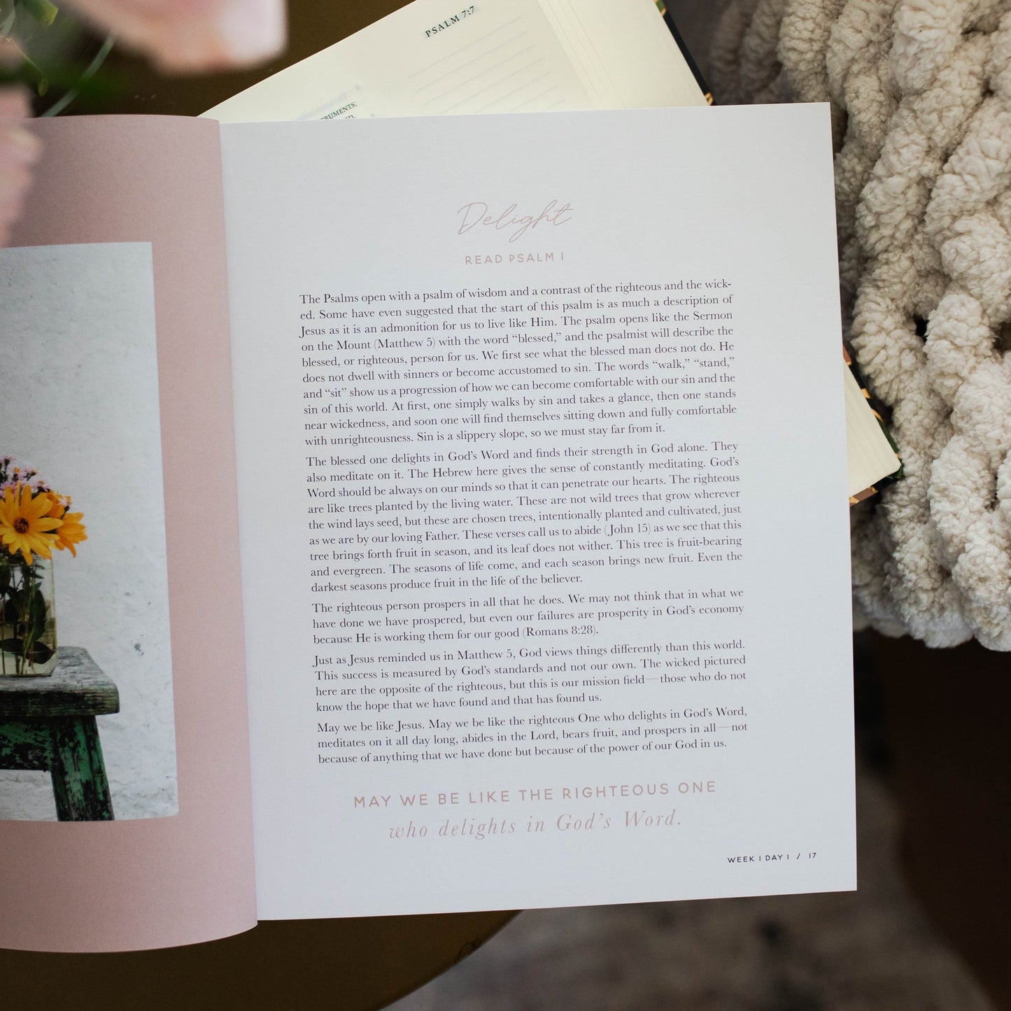 Delight: Psalms Bible Study