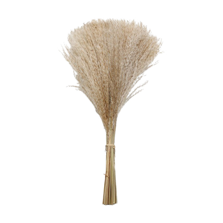 Natural Whisk Grass Bunch