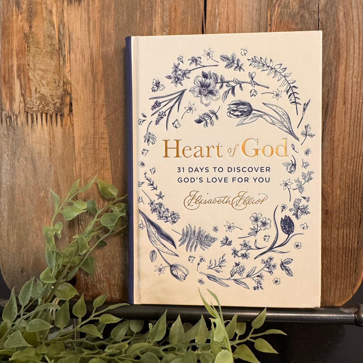Heart of God: 31 Days to Discover God's Love for You