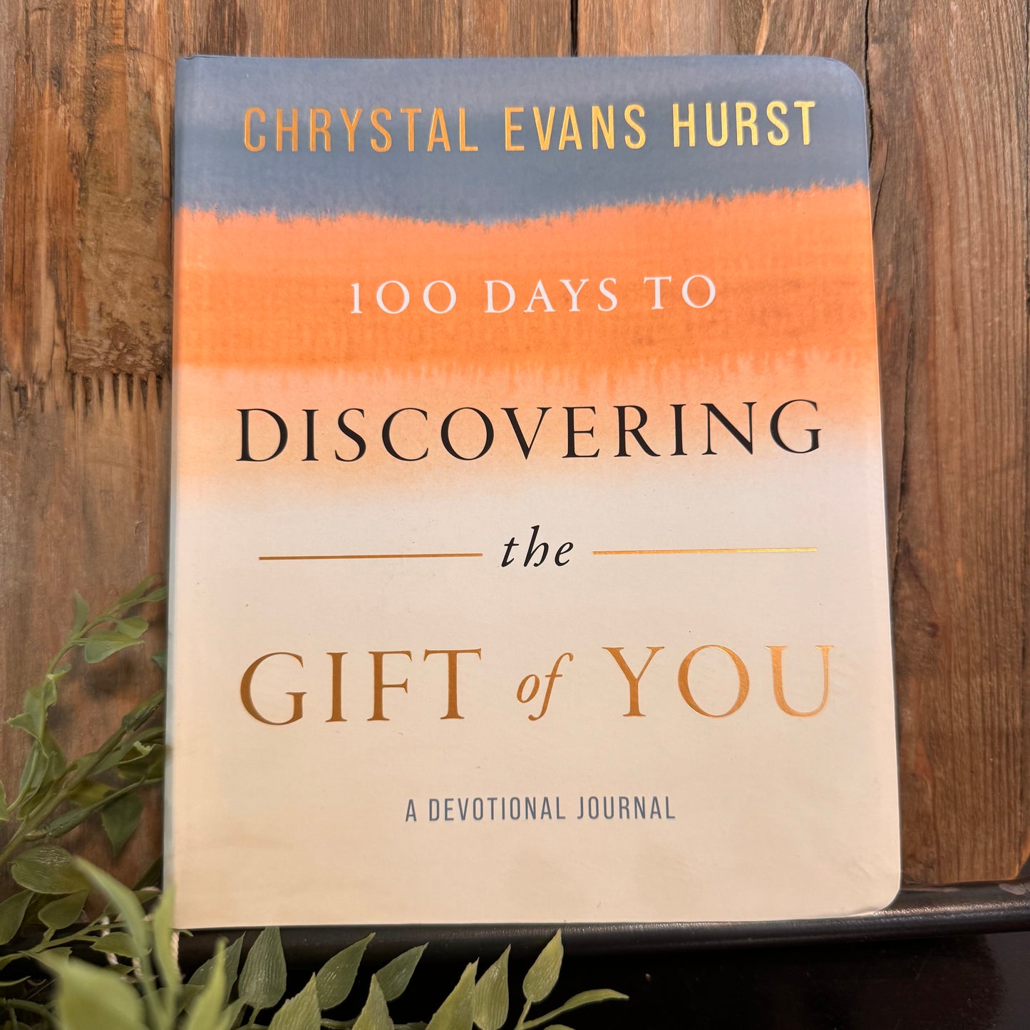 100 Days to Discovering the Gift of You : A Devotional Journal