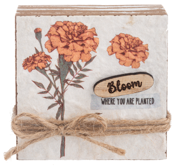 Floral Block With Jute Rope