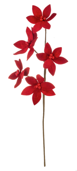 Five Poinsettia Spray
