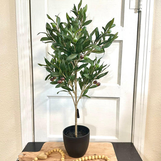 29" Olive Tree with Pot