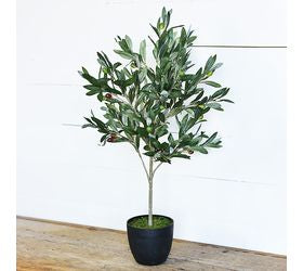29" Olive Tree with Pot