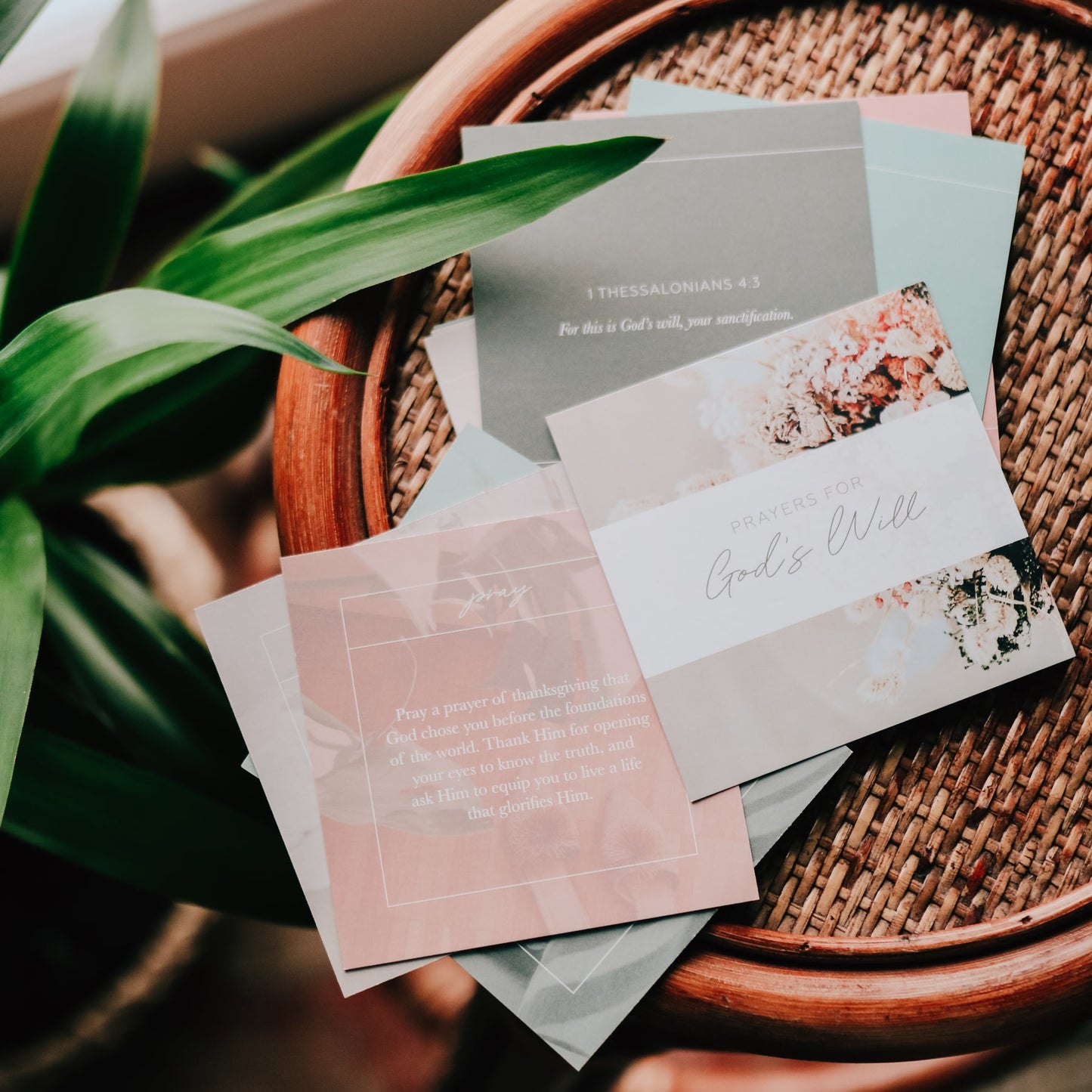 God's Will Verse Card Set