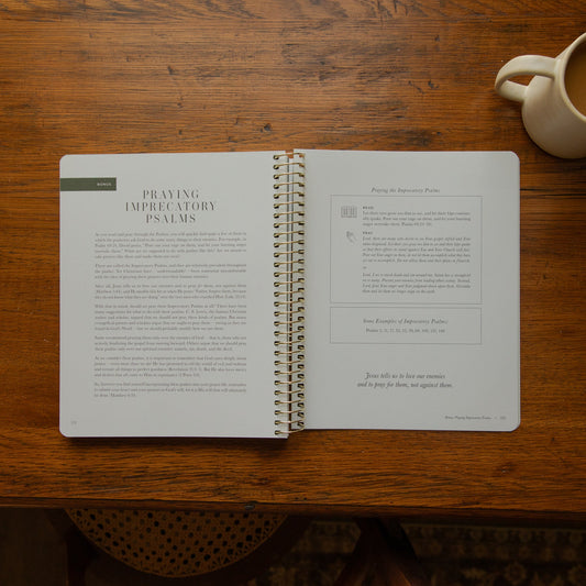 The Psalms Bible Study - Volume 2