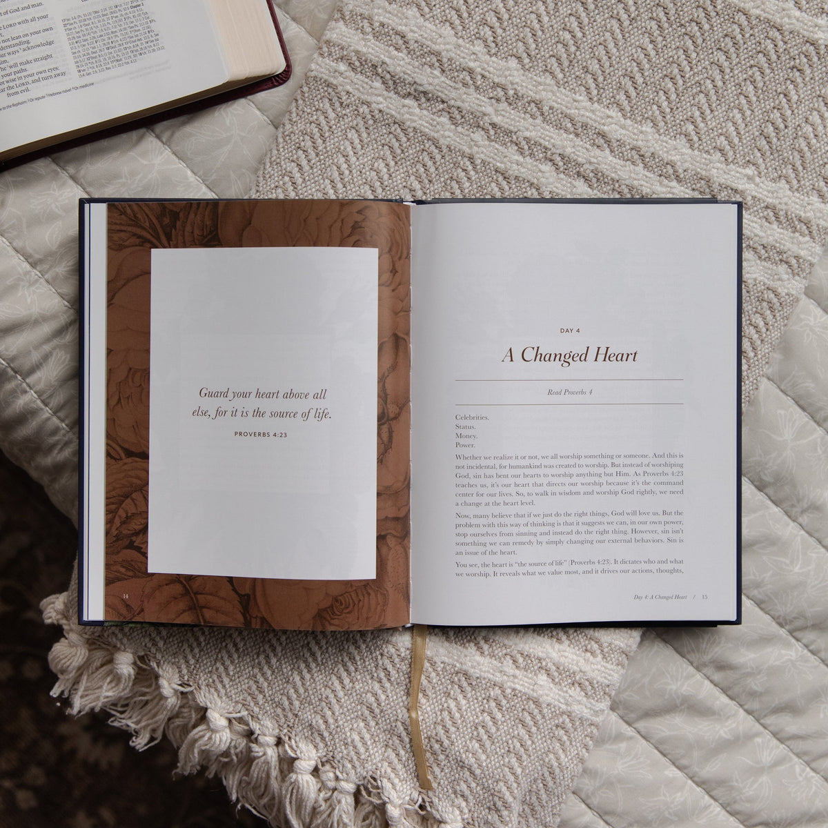 The Way of Wisdom | Proverbs Devotional