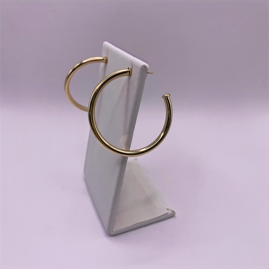 RoundHoopEarrings_edited.jpg