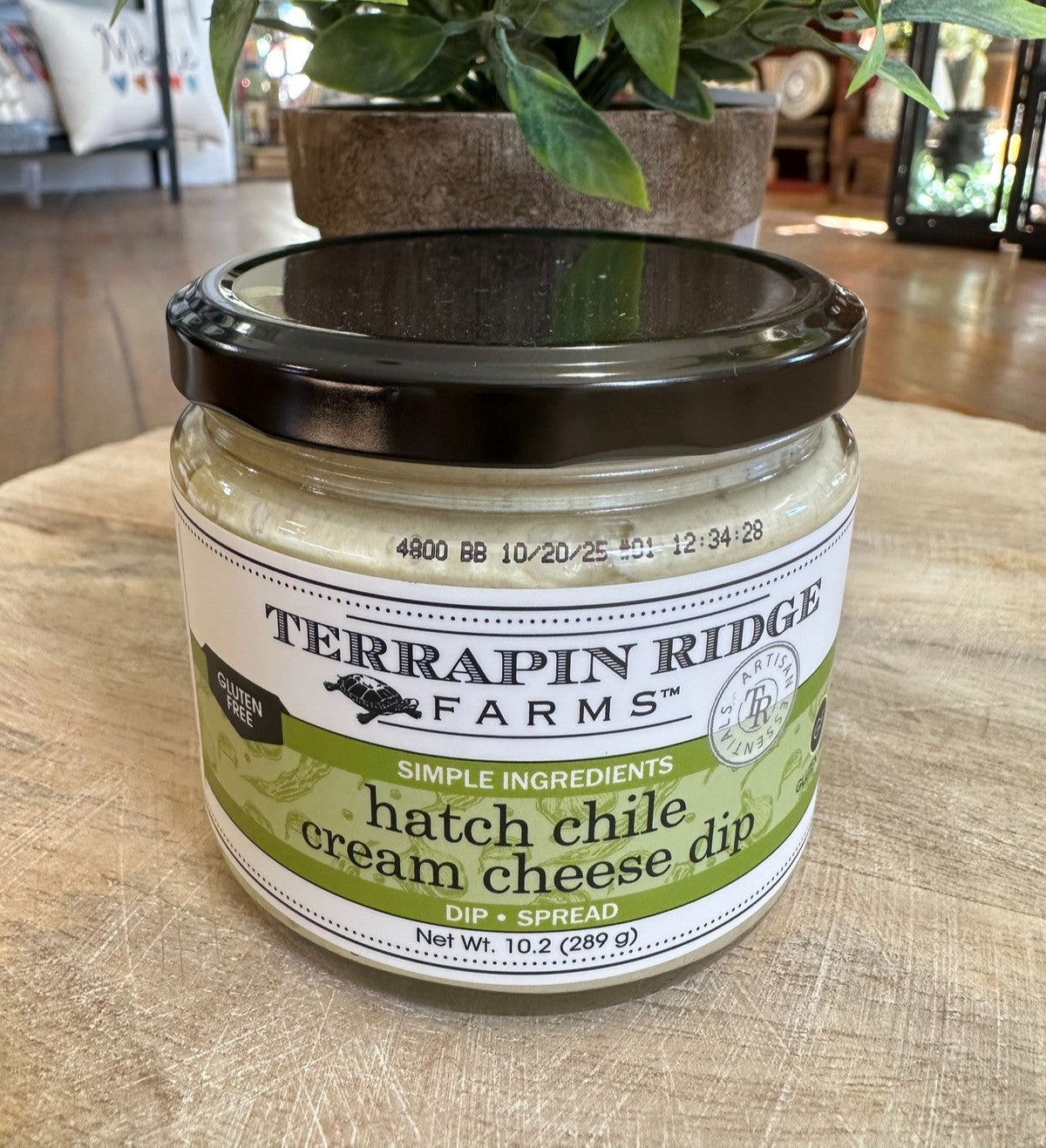 HatchChileCheeseDip_edited.jpg