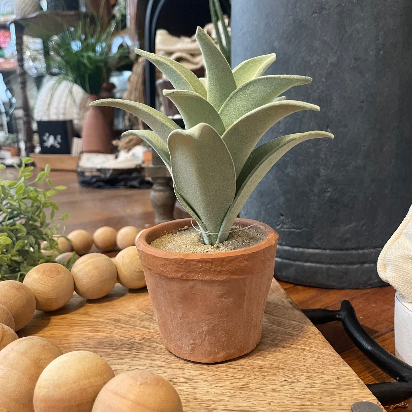 PD-SucculentPot.jpeg