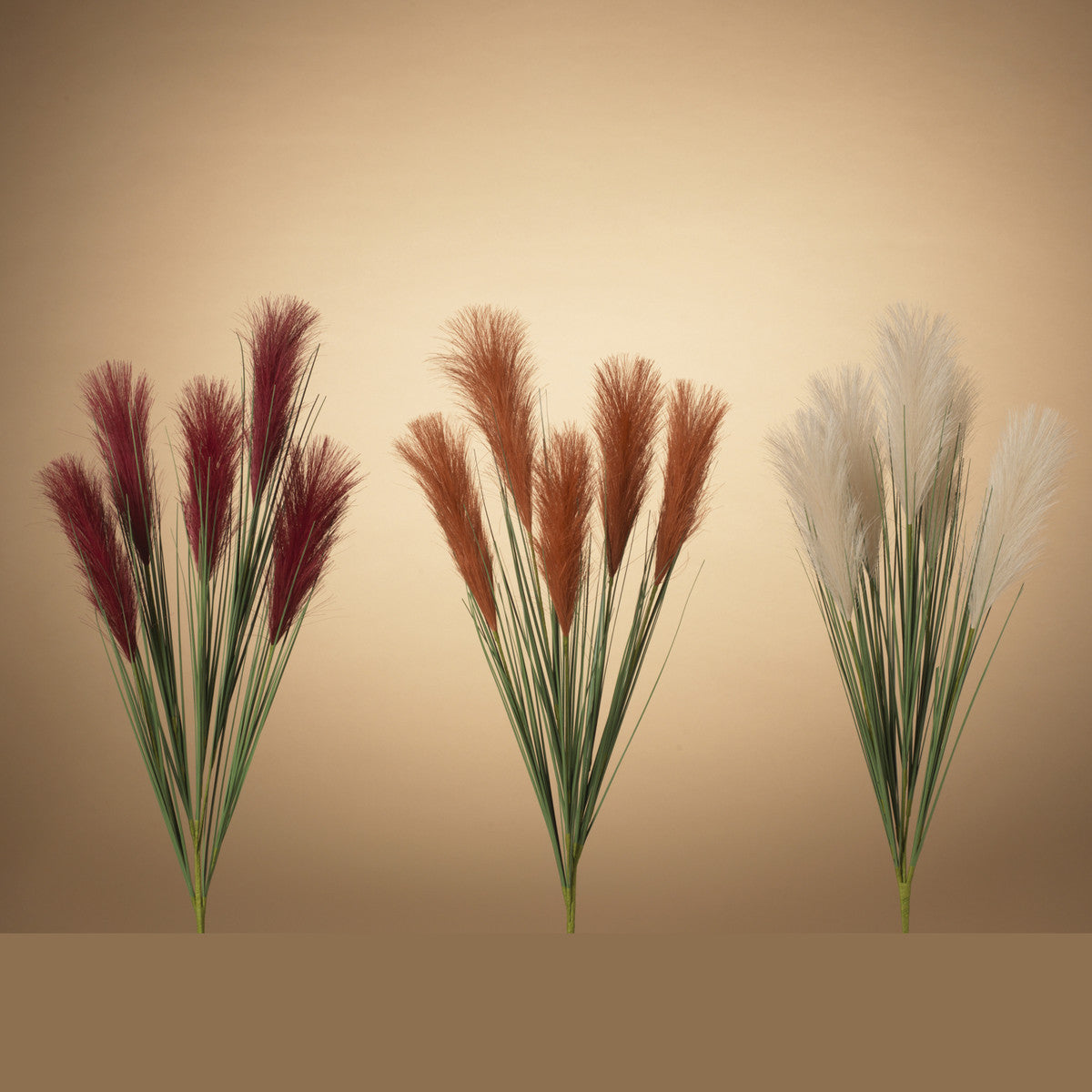 PampasGrass.jpg