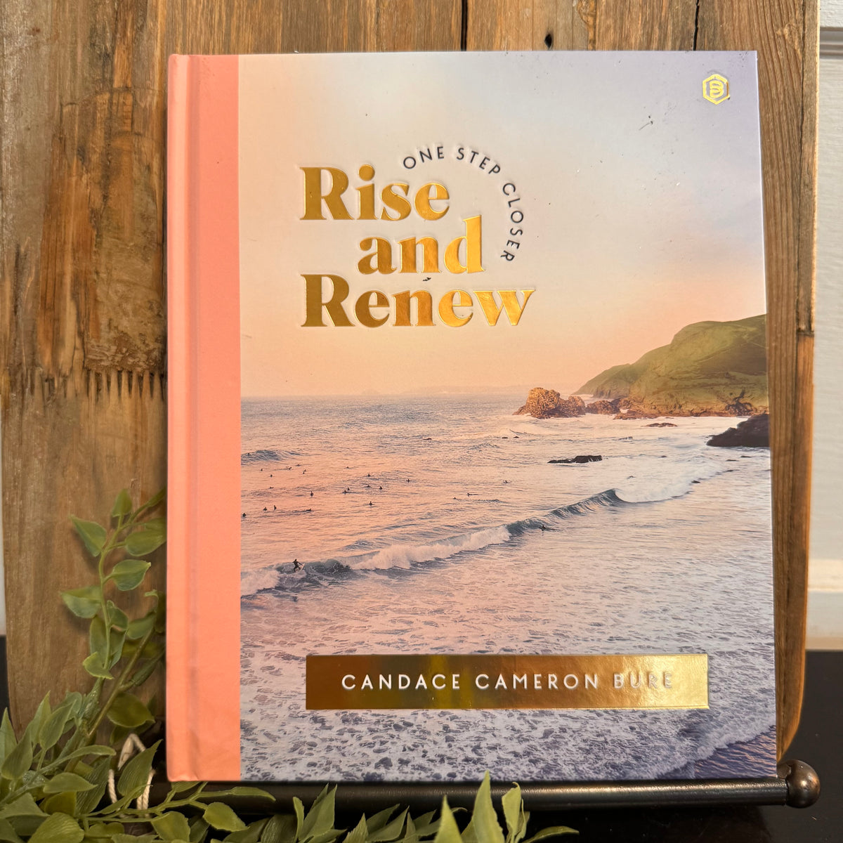 Rise and Renew