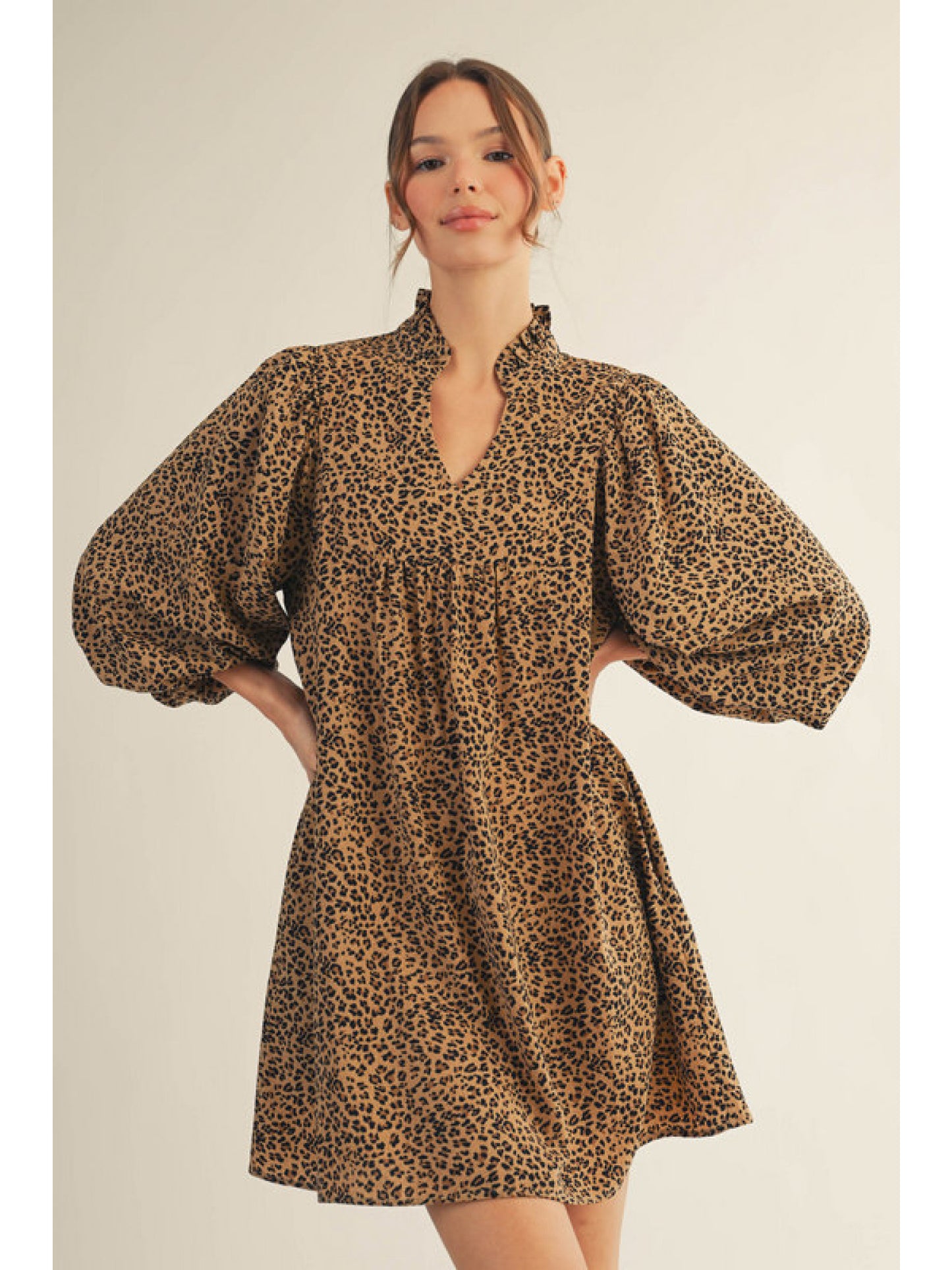 Leopard Ruffle Collar Dress