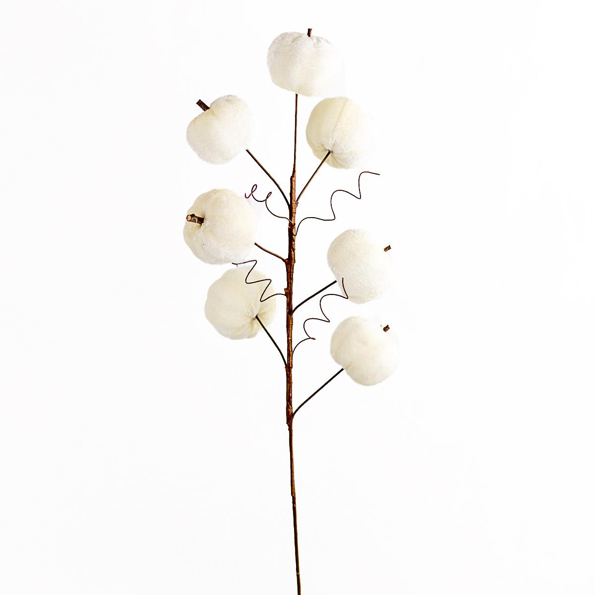 Cream Pumpkin Stem