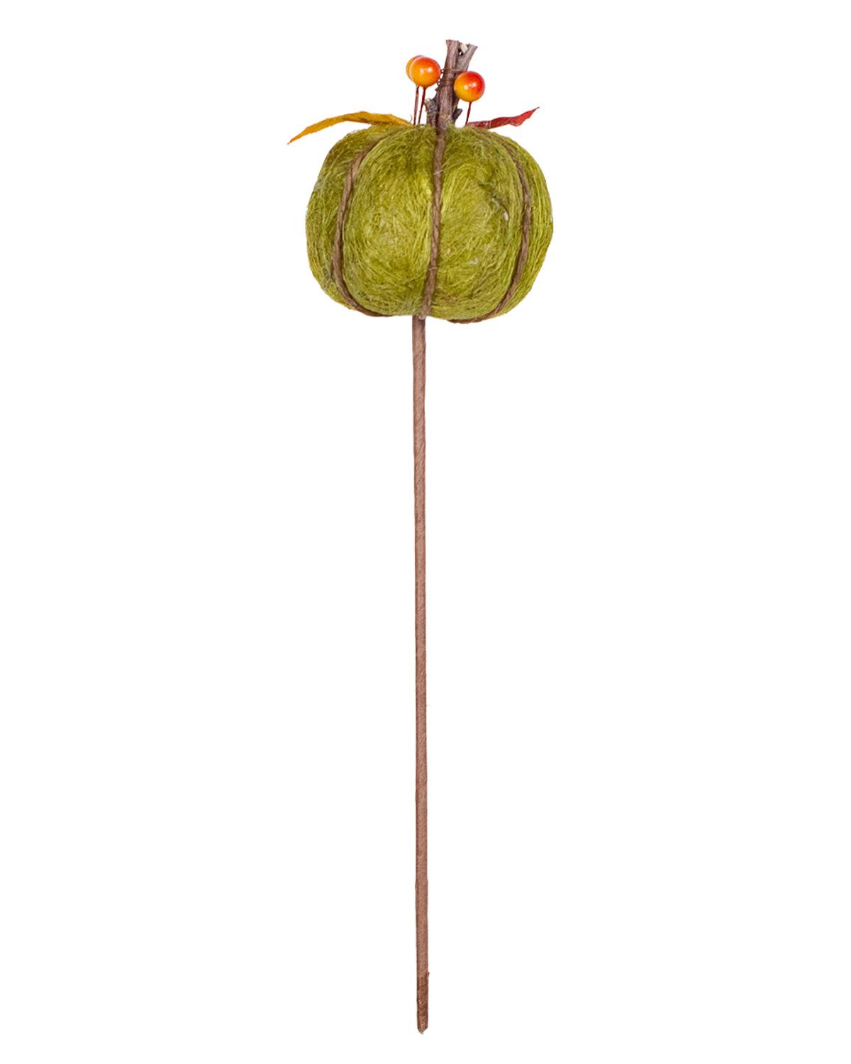 Green Pumpkin Stem