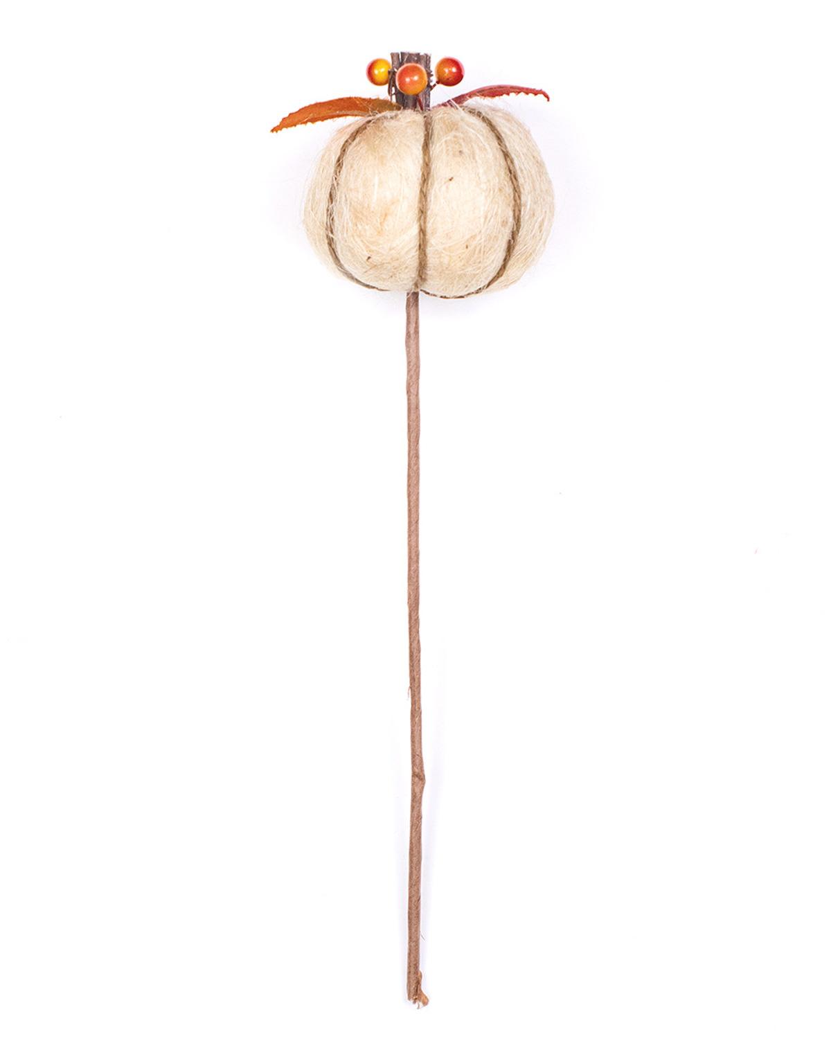 Cream Pumpkin Stem