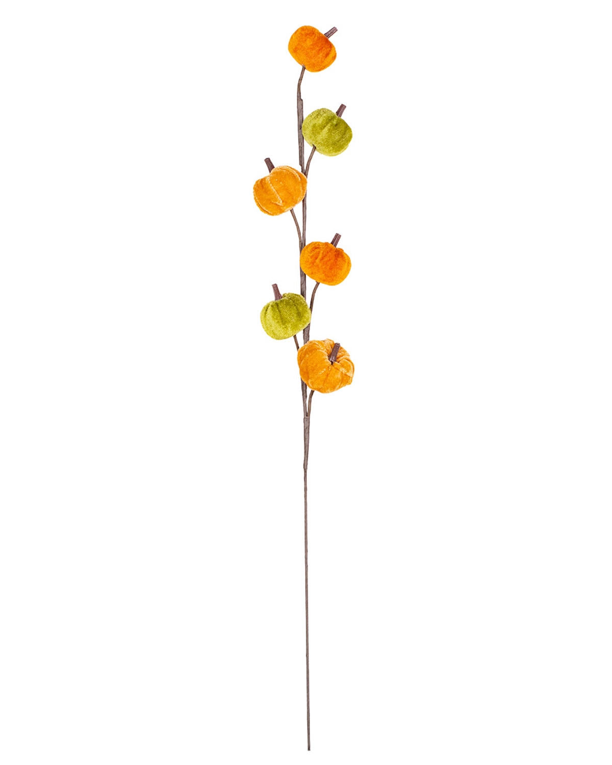 Orange and Green Pumpkin Stem