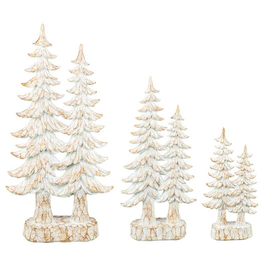 White Pine Trees