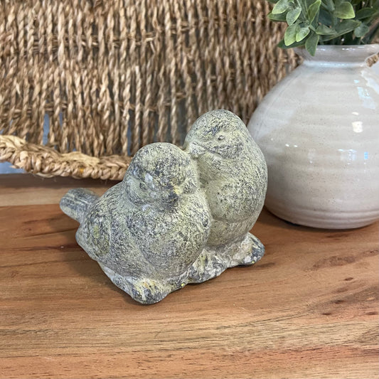 Gray Friendship Birds