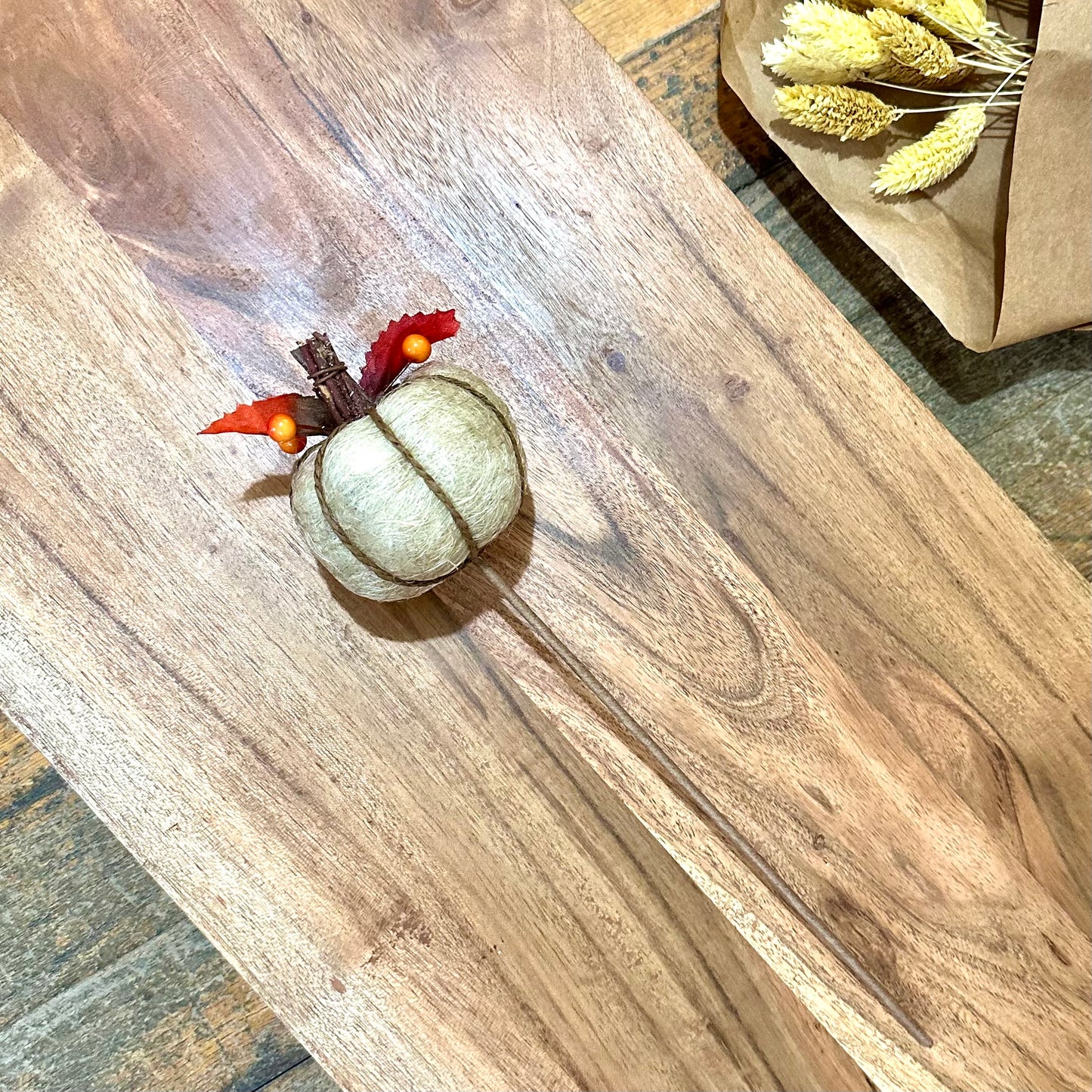 Cream Pumpkin Stem