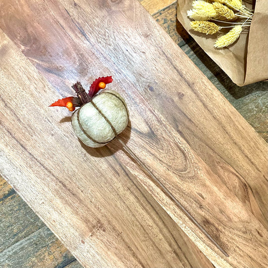 Cream Pumpkin Stem
