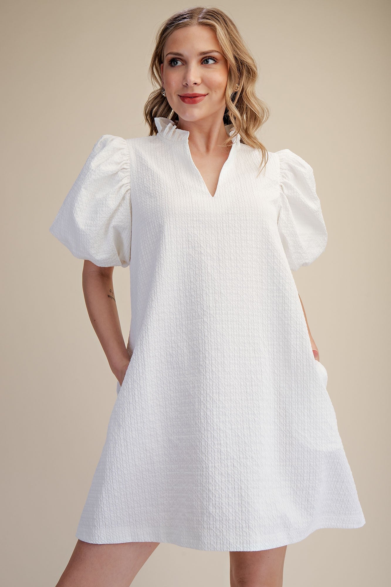 Puff Sleeve Textured Dress