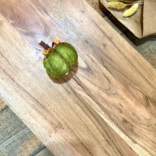 Green Pumpkin Stem