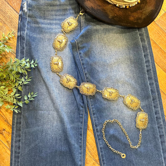 Longhorn Engraved Chain Belt