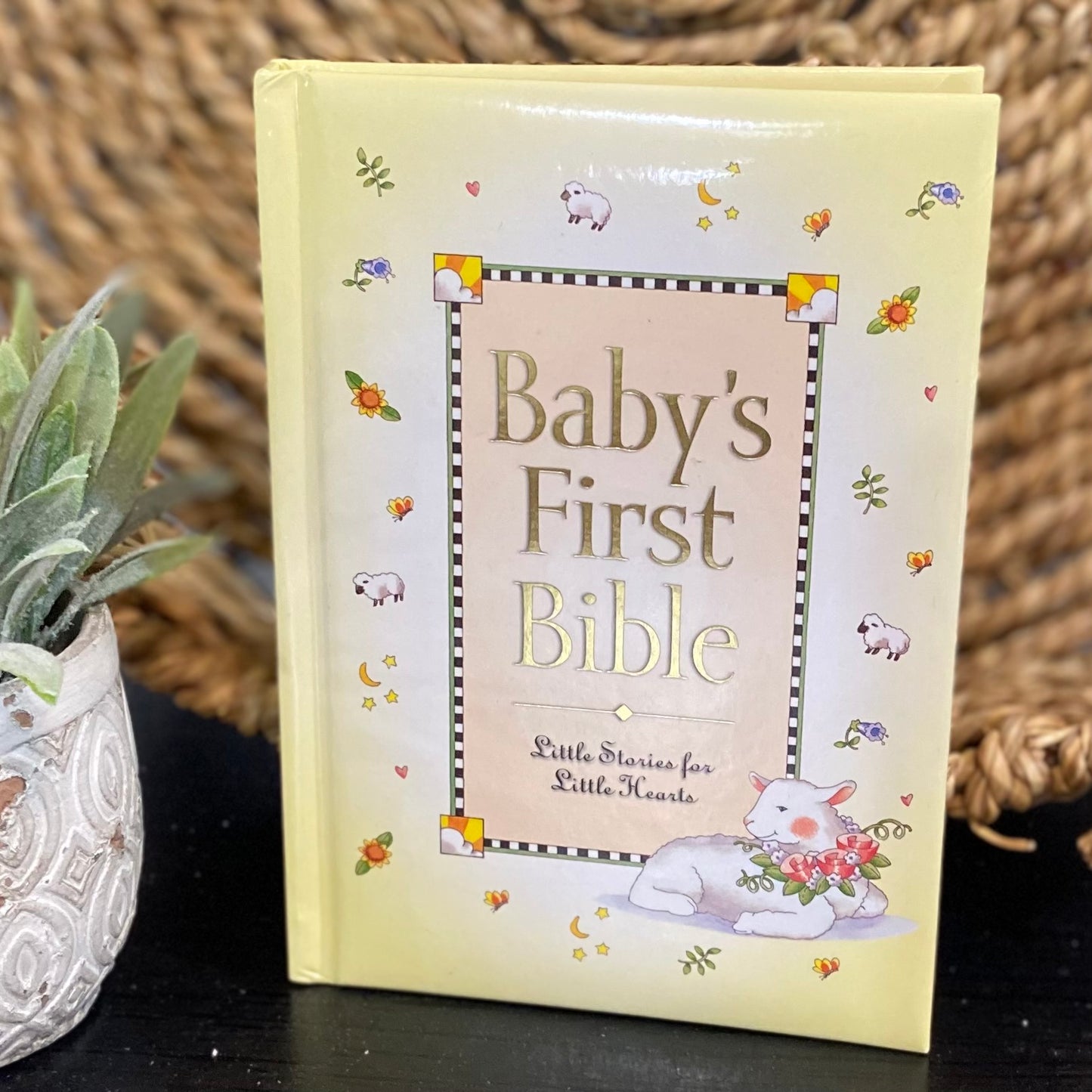 Baby's First Bible