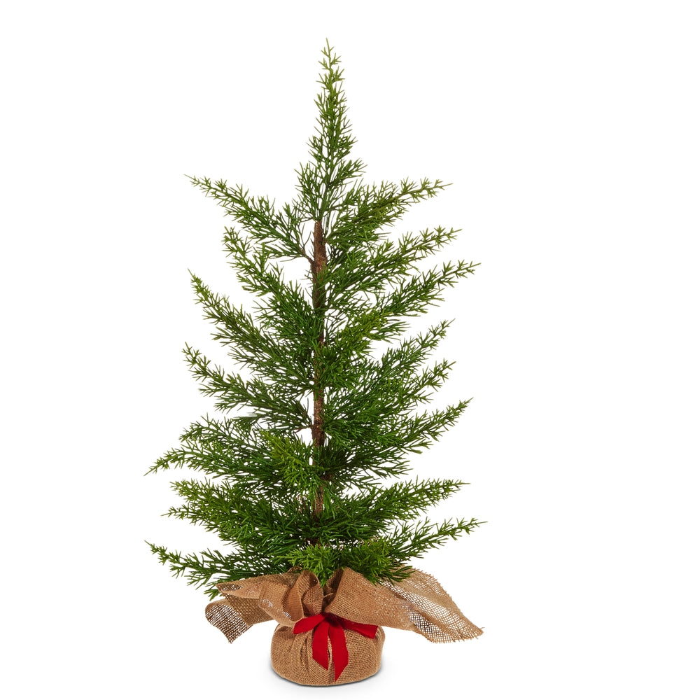 Cedar Tree in Burlap Bag