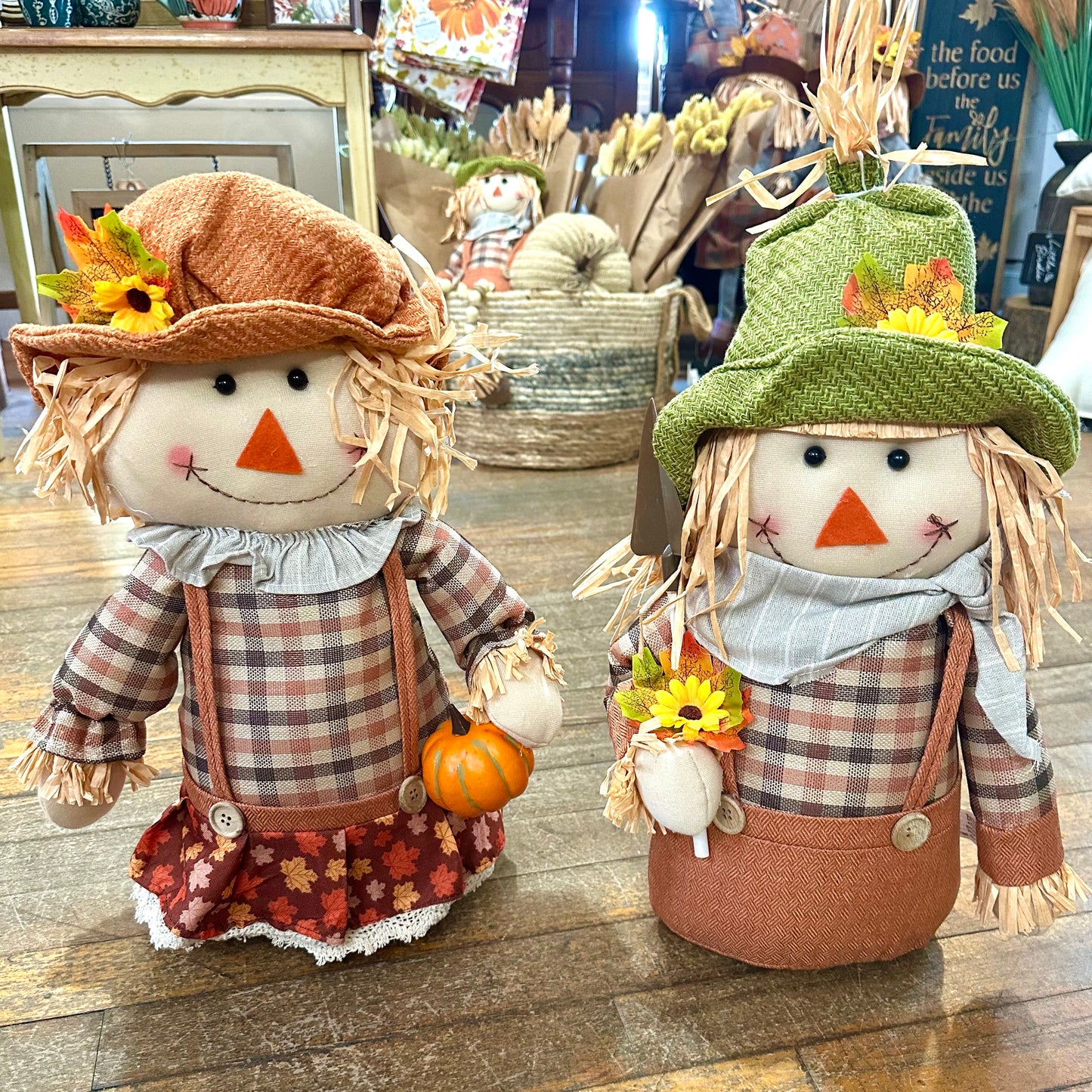 Scarecrow Sitter