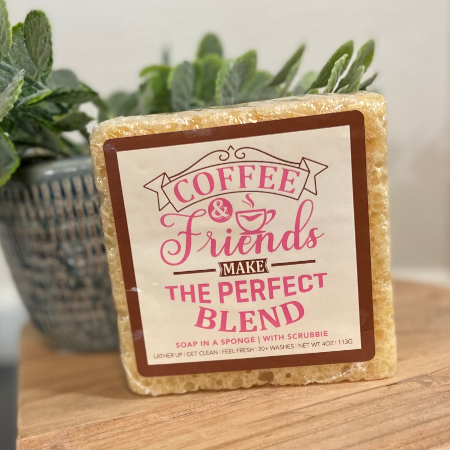 Caren Specialty Soap Sponges