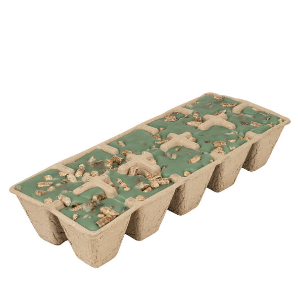 Firestarter- Evergreen Forest