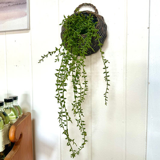 Rattan Basket with Stems