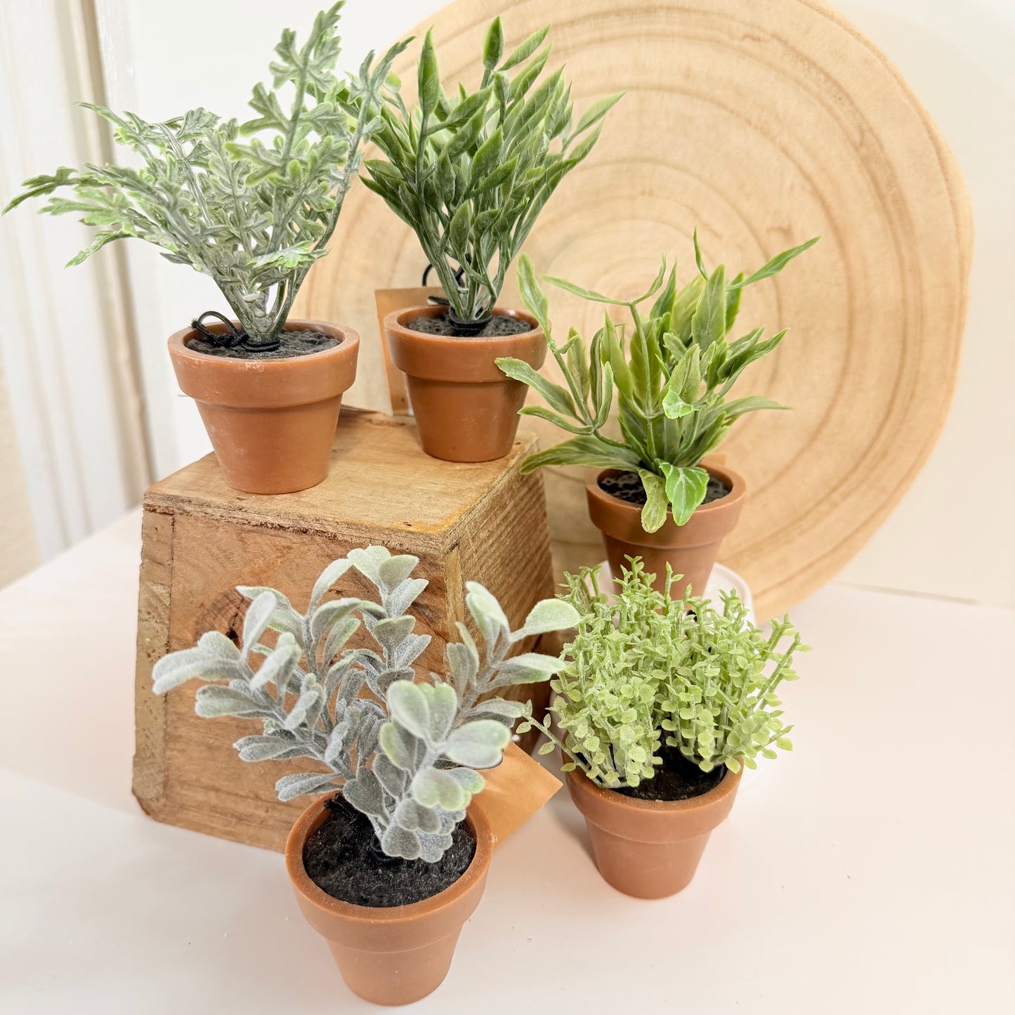 Mini Faux Plant