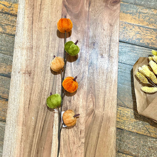 Orange and Green Pumpkin Stem