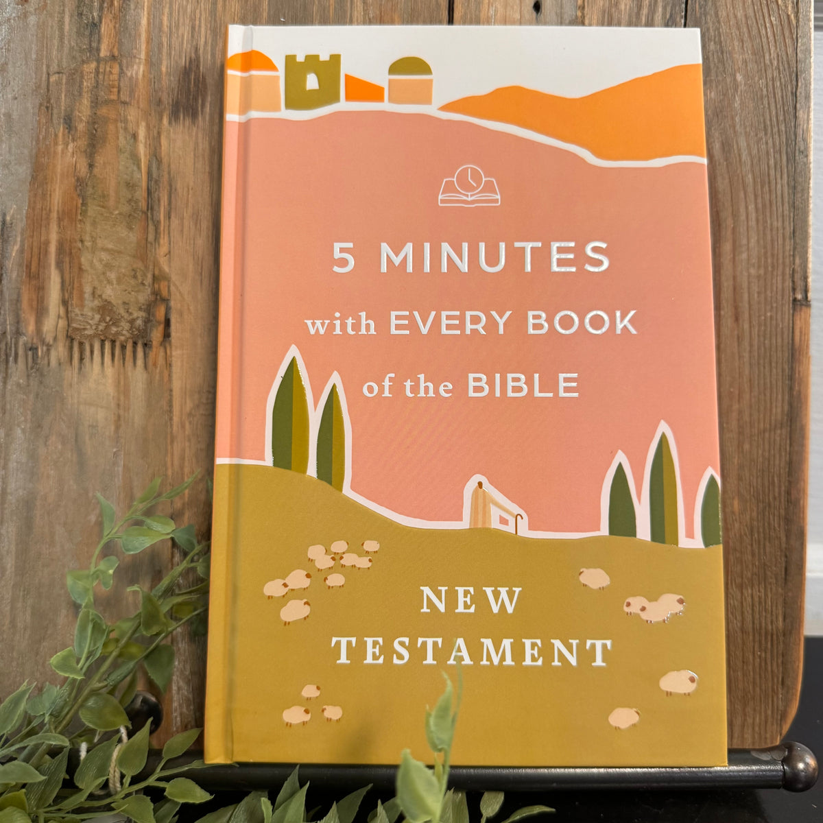 5 Minutes with Every Book of the Bible - New Testament