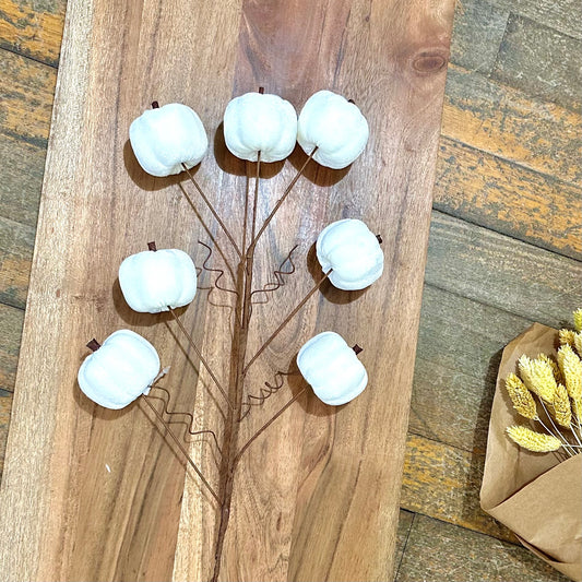 Cream Pumpkin Stem