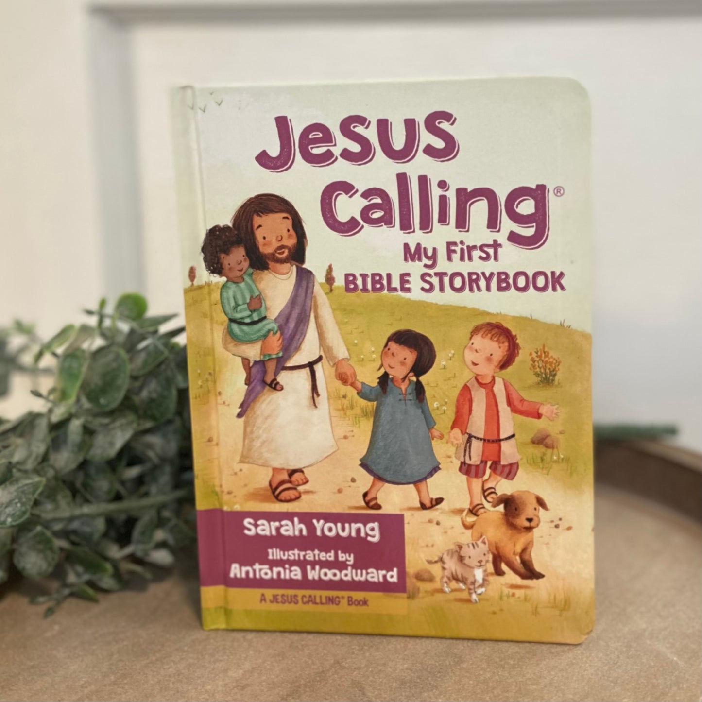 Jesus Calling- My First Bible Storybook