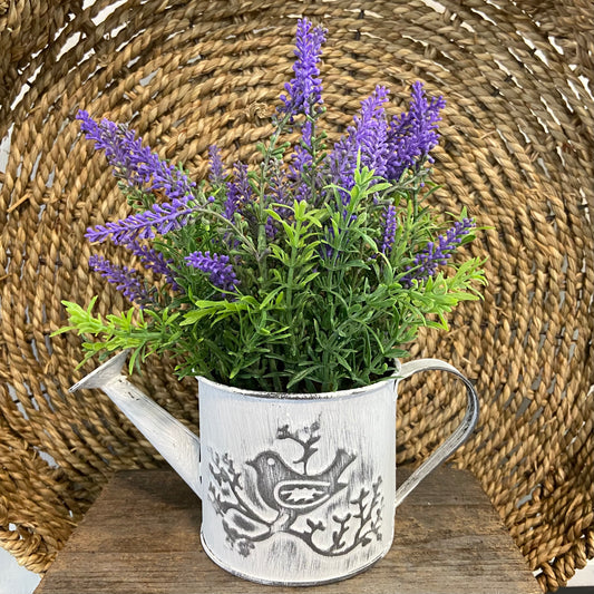 Lavender in Watering Can