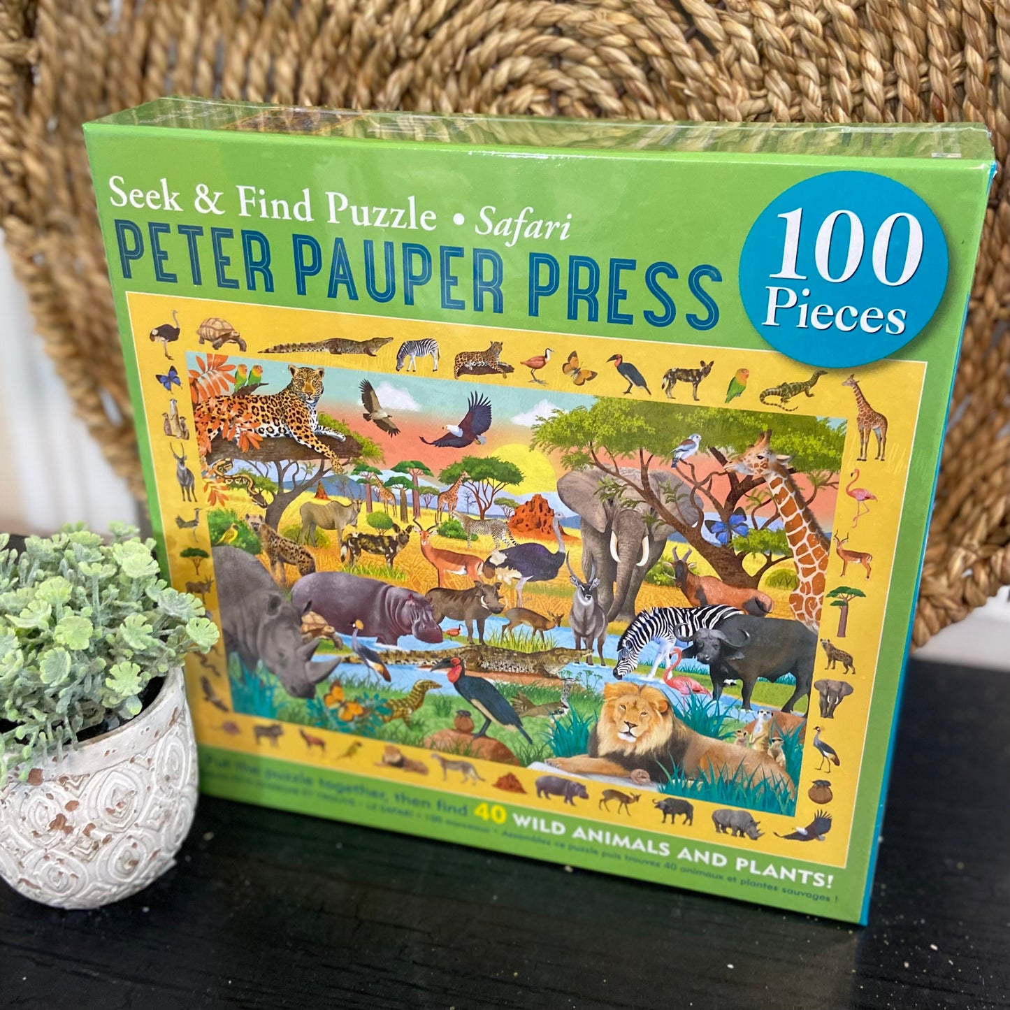 Safari Seek Find Puzzle