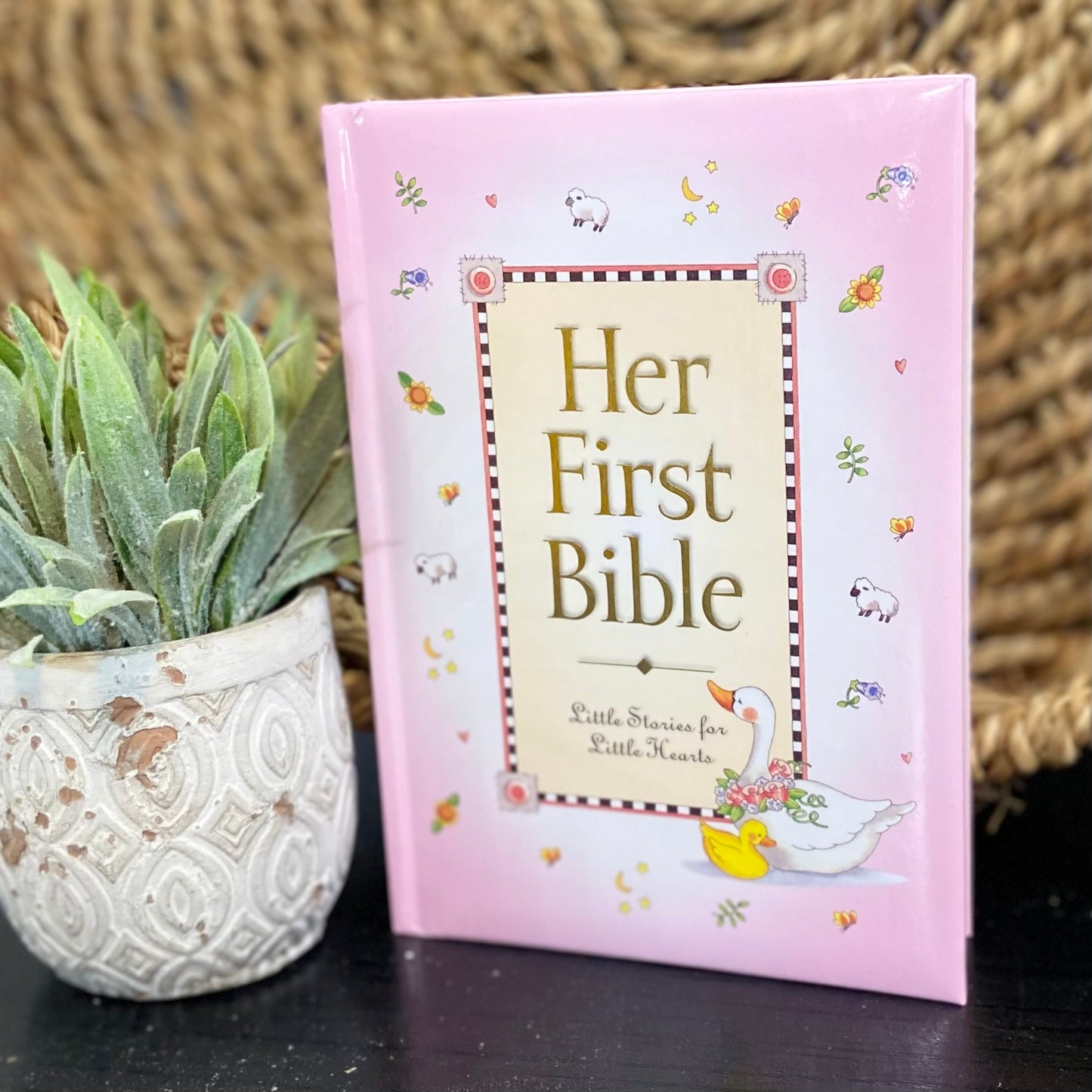 Her First Bible