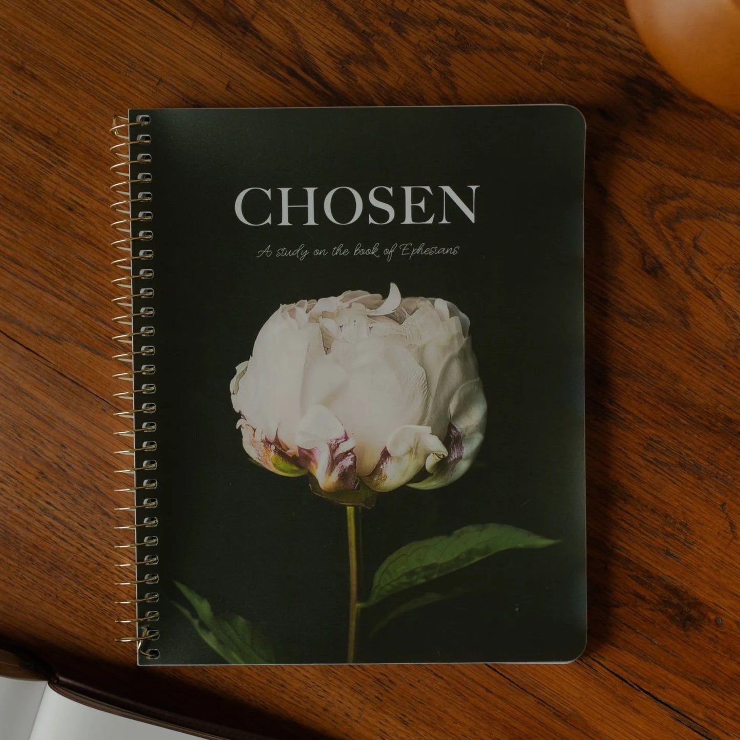 Chosen- Ephesians Bible Study