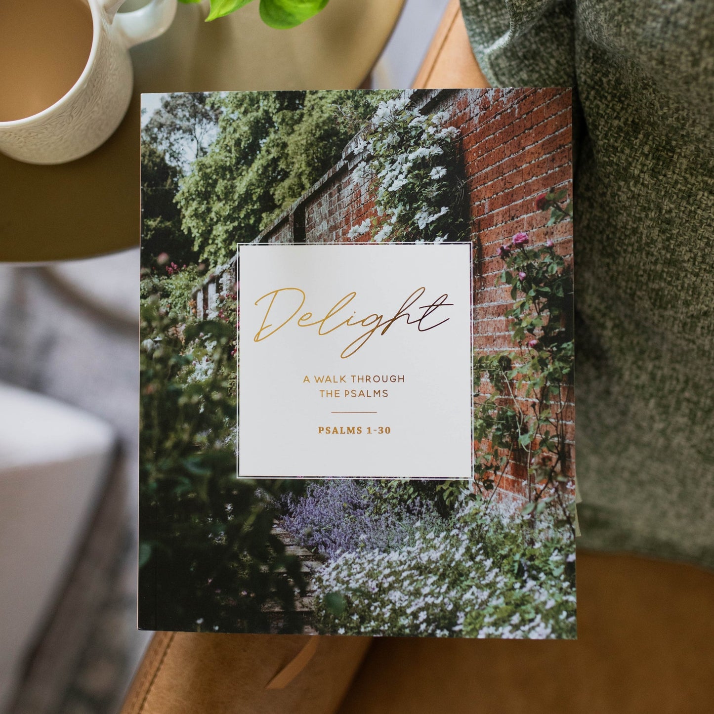 Delight: Psalms Bible Study