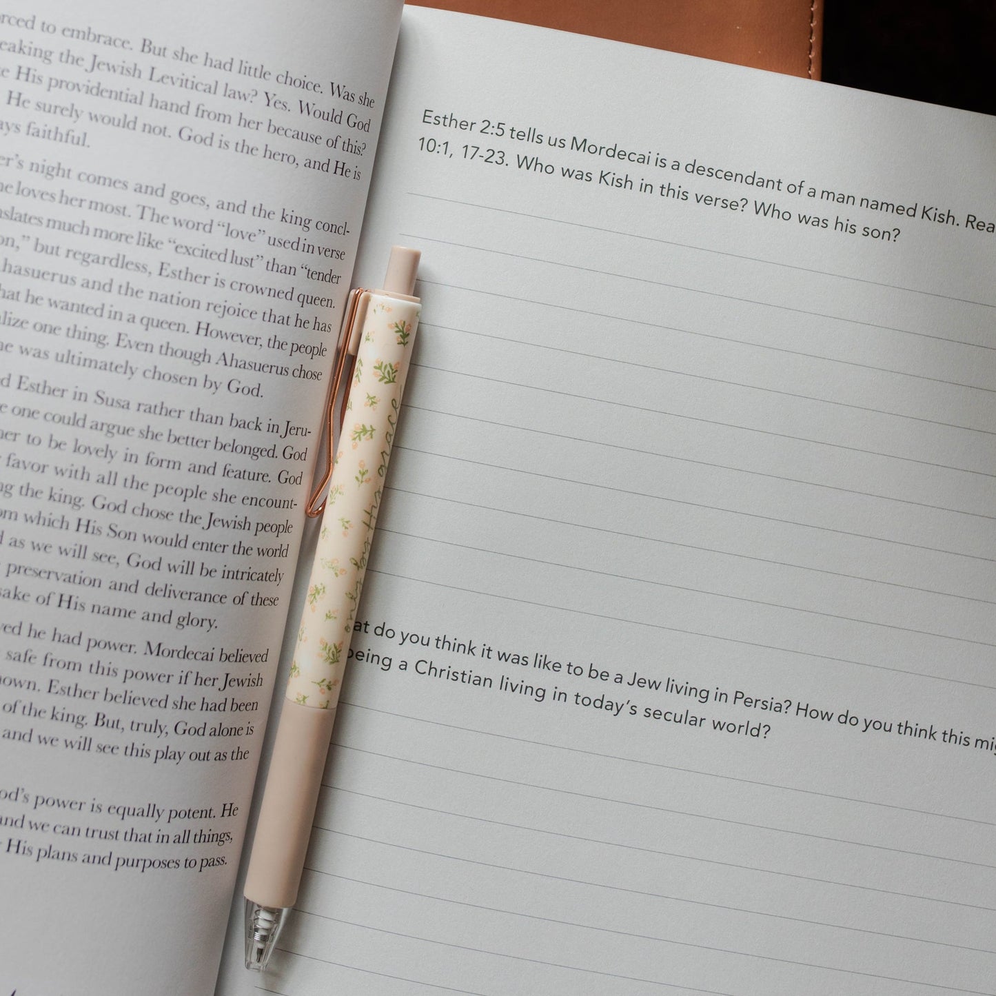 Esther: Seeing God Bible Study