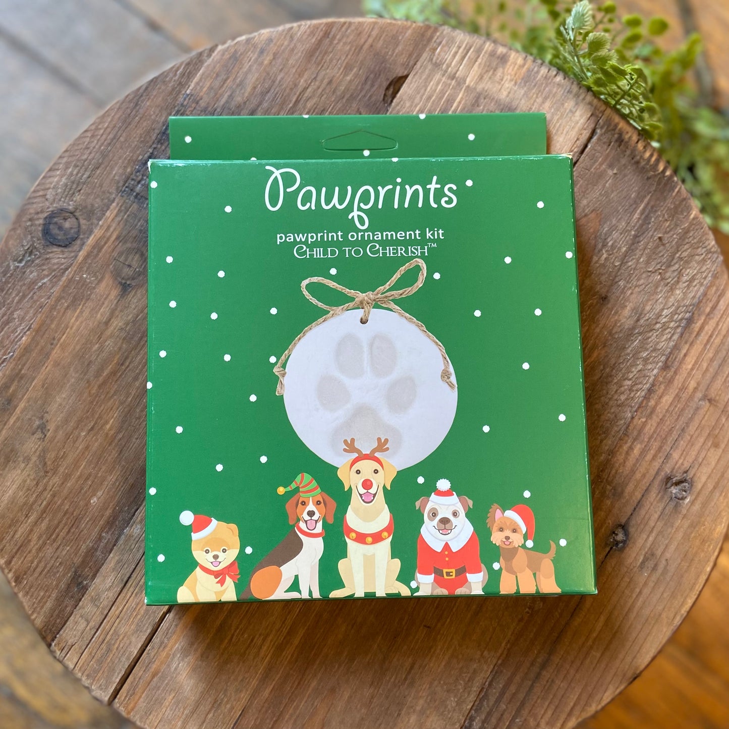 Pawprint Ornament Kit