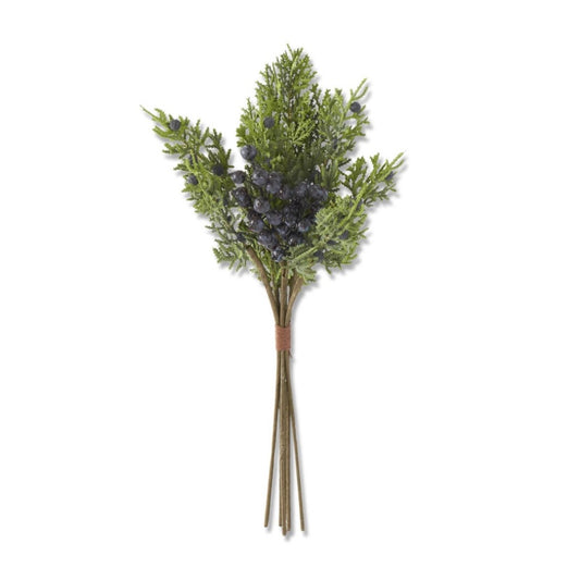 Cedar Blueberry Bundle