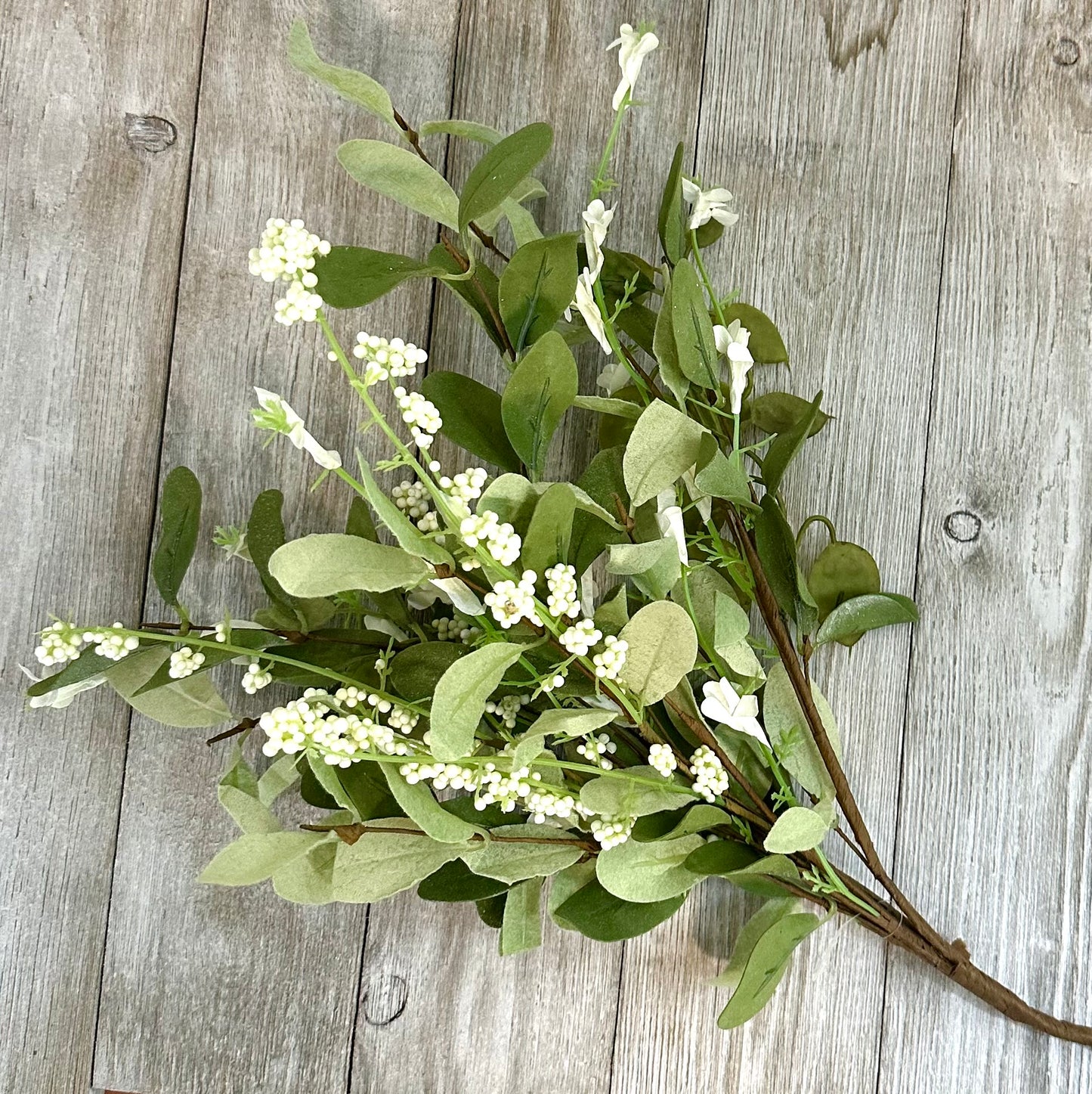 Green Leaf and Flower Stem